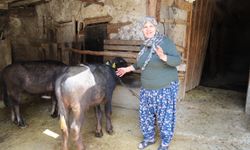 Eskişehir'de üreticilere tam destek!