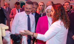 El emekleri görücüye çıktı