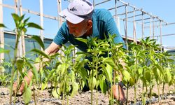 Toprağa değen eller Tepebaşı'nda üretime dönüşüyor