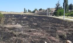 Eskişehir'de torpil yangına yol açtı.... 15 Dönüm alan kül oldu