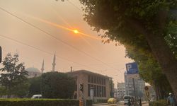 Bilecik'e sıçrayan yangının dumanı Eskişehir'i de kapladı