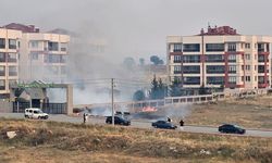 Eskişehir'de çöpe atılan izmarit nedeniyle yangın çıktı!