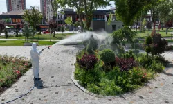 Yeşil alanları ilaçlamaya devam
