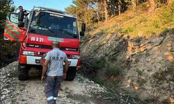 Beypazarı’nda orman yangını