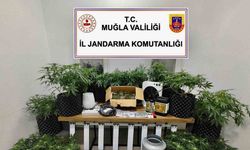 Bodrum’da uyuşturucu baskını: 2 gözaltı