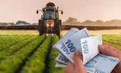 Eskişehir’de çiftçiye destekleme ödemeleri başladı