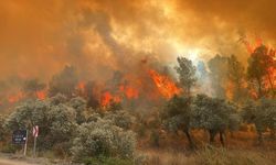 Ormanlarla ilgili 'torba yasa' iddiaları yalanlandı