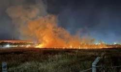 İzmir'de yangın paniği! Alevler rüzgarın etkisiyle büyüdü