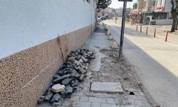 Eskişehir'de bu kaldırım bakım bekliyor!