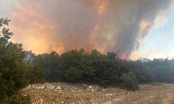 Seyitgazi'deki orman yangınına müdahale ediliyor