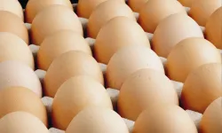 A sınıfı yumurtalarda 'tüketim tarihi' zorunluluğu...