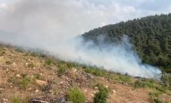 Aynı bölgede 15 günde 2’nci orman yangını