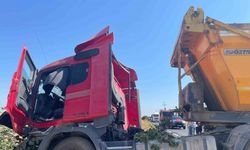 Hafriyat kamyonu ağaca çarptı: 2 yaralı