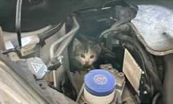 İtfaiye istasyonuna giderek yardım istedi, aracının motor kısmından çıkan şaşırttı!