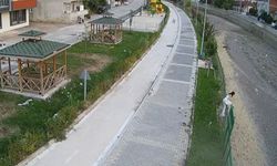Kediye yardım etmek isterken su kanalına düştü!