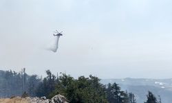 Orman yangını 3. gününde kontrol altına alındı