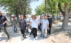Çifteler çıkarması