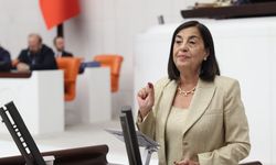 CHP'li Süllü'den "zeytinlikleri madenciliğe açan yasa teklifine" sert tepki: