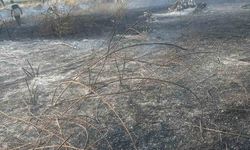 Eskişehir'de anız yangınına müdahale