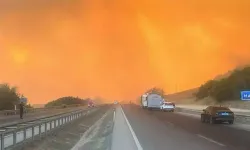 Bursa’da orman yangını yerleşim yerlerine yaklaştı