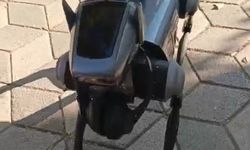 Robot köpek vatandaşların ilgi odağı oldu...