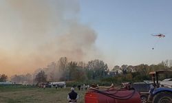 Bursa'da korkutan yangın