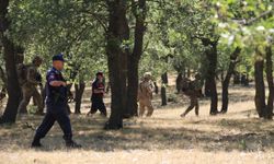 Eskişehir ormanları jandarma tarafından korunuyor