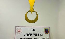 18 bin 400 adet zehir hap ele geçirildi
