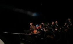 41 kaçak göçmen yakalandı