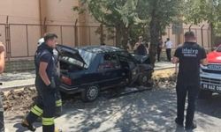 Ağaca çarpan otomobilin sürücüsü yaralandı