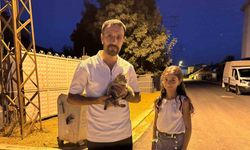 Baba-kız yaralı kediyi hayata döndürdü