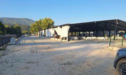 Bıçaklı alacak-verecek kavgası: 1 yaralı