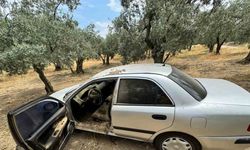 Çalınan otomobil zeytin tarlasında bulundu