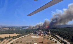 Çanakkale’de tarım arazisinde başlayan yangın ormanlık alana sıçradı