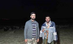 Çobanlardan kavurucu sıcaklara karşı çözüm yolu şaşırttı...