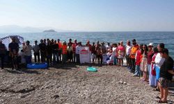 Çöp topladılar, duvar boyadılar
