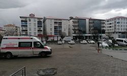 Elektrik akımına kapılan 1 kişi öldü, 1 kişi yaralandı
