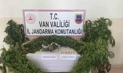 Evin çatısına kenevir ekti