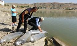 Göllere 450 bin yavru sazan bırakıldı