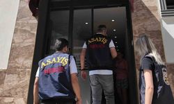 Günübirlik ev ve kiralık araç firmaları denetlendi