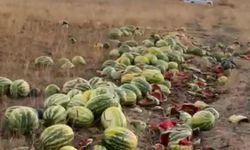 İsraf tepkisi: Karpuzlar yola saçıldı