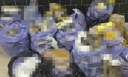 Kaçak tütün operasyonu: Binlerce makaron ve nargile tütünü ele geçirildi
