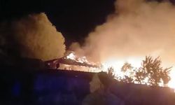 Köyde çıkan yangında evler, samanlıklar ve ahırlar kül oldu