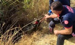 Kuyuya düşen keçi kurtarıldı
