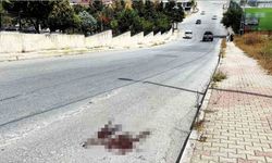 Mezarlık önünde kardeş kavgası cinayetle bitti: 1 ölü
