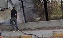 Mikser sürücüsü ağaçları yanmaktan kurtardı