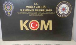 Muğla’da sahte dolar operasyonu