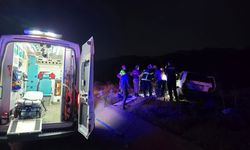 Otomobil ata çarptı: 2 yaralı