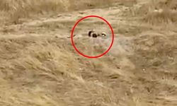 Uygunsuz hareketler sergileyen iki genç gözaltına alındı
