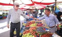 Bunun fiyatı pahalıdır...